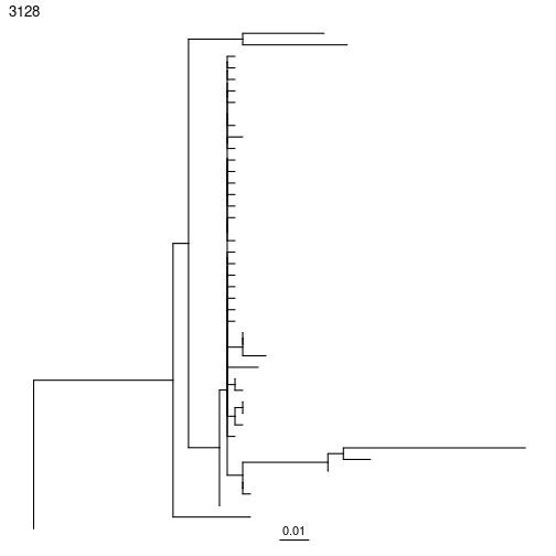 plot of chunk Plotting-Trees-Vignette-1