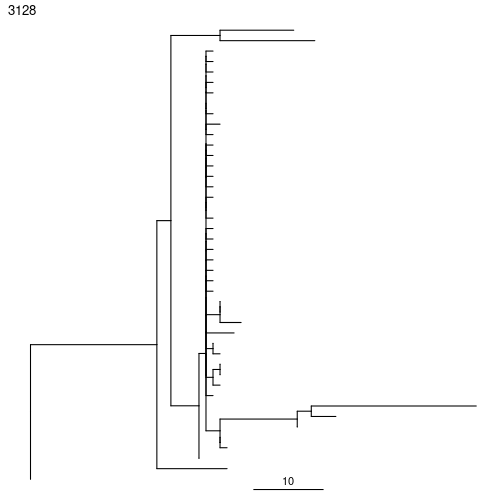plot of chunk Plotting-Trees-Vignette-2